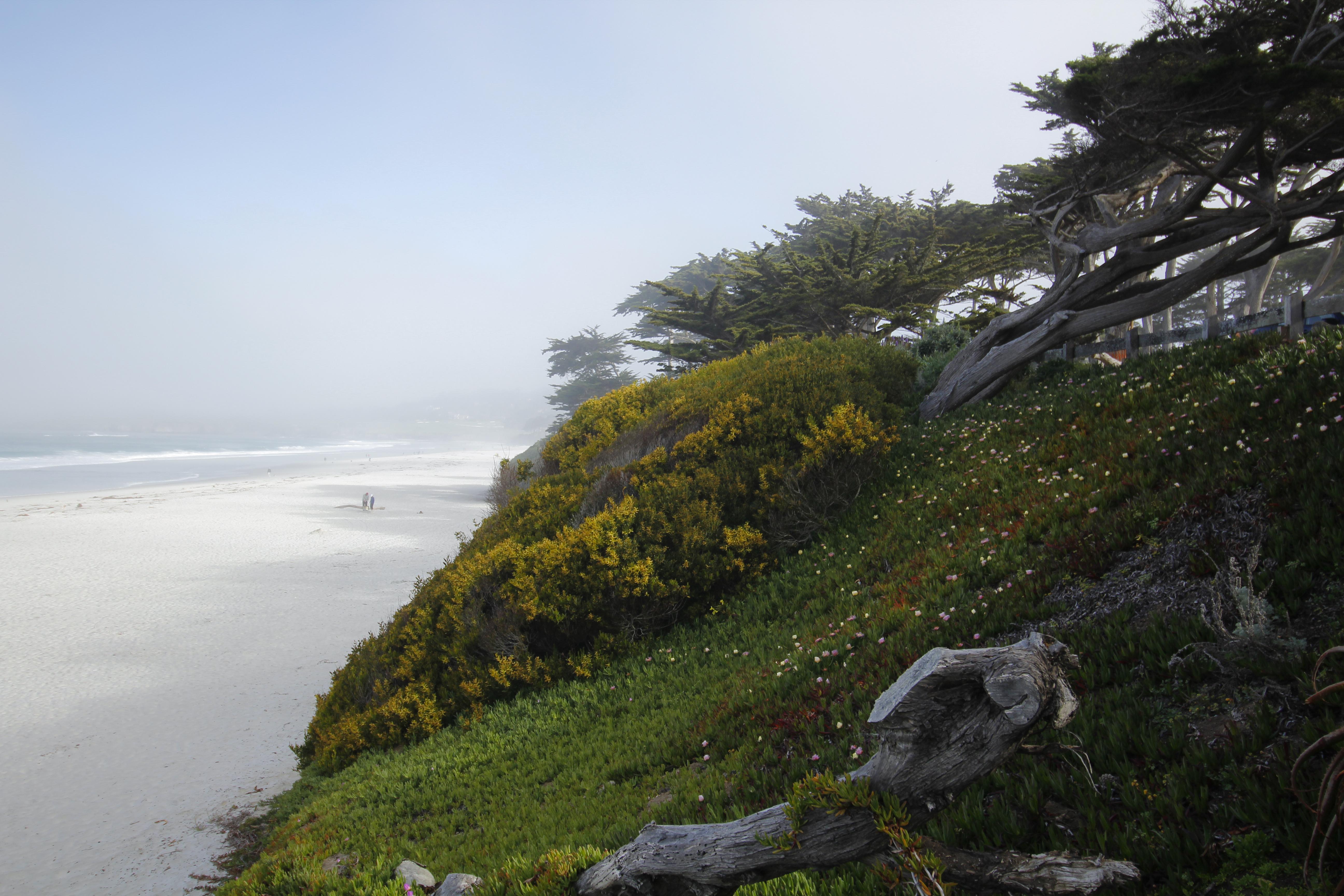 Hotel Le Petit Pali At Ocean Ave Carmel-by-the-Sea Exterior foto